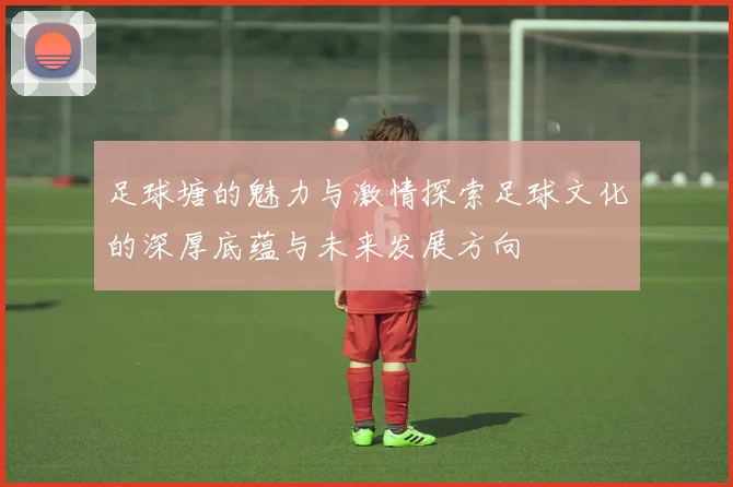 足球塘的魅力与激情探索足球文化的深厚底蕴与未来发展方向