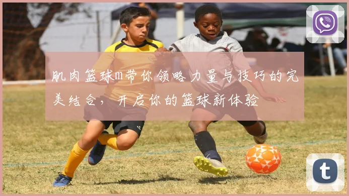 肌肉篮球m带你领略力量与技巧的完美结合，开启你的篮球新体验