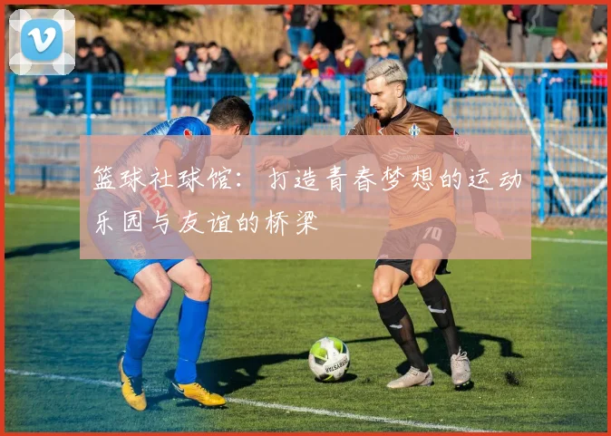 篮球社球馆：打造青春梦想的运动乐园与友谊的桥梁