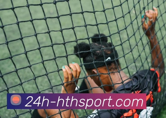 华体会注册平台生态图